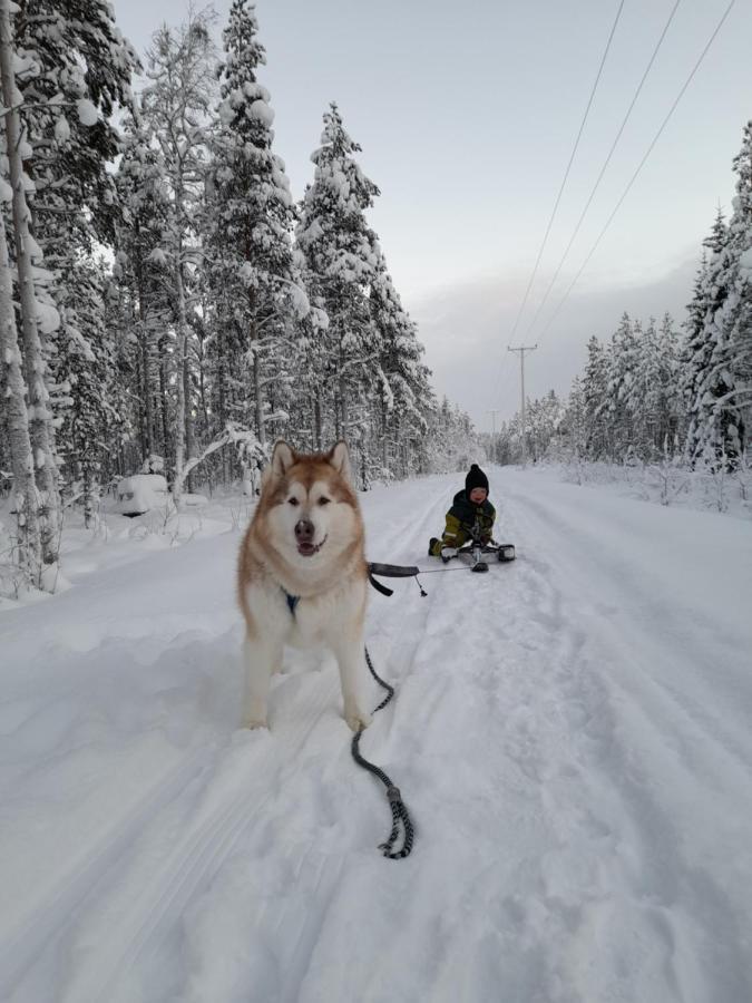 Villa Waeltti Rovaniemi Bagian luar foto