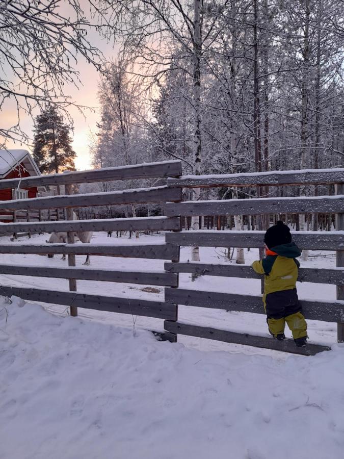 Villa Waeltti Rovaniemi Bagian luar foto