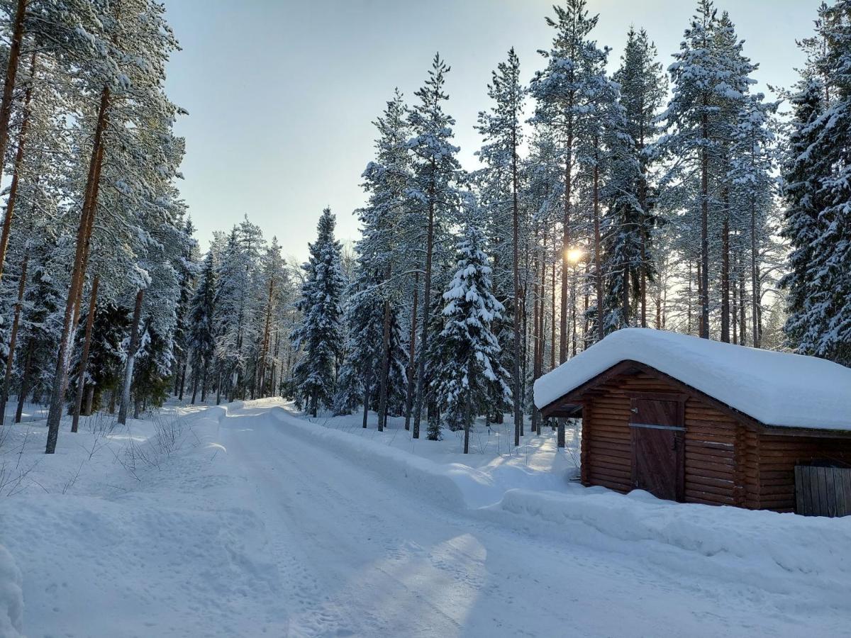 Villa Waeltti Rovaniemi Bagian luar foto